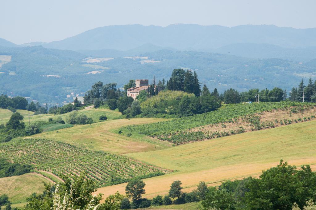 Agriresort & Spa Fattoria I Ricci Vicchio Eksteriør bilde